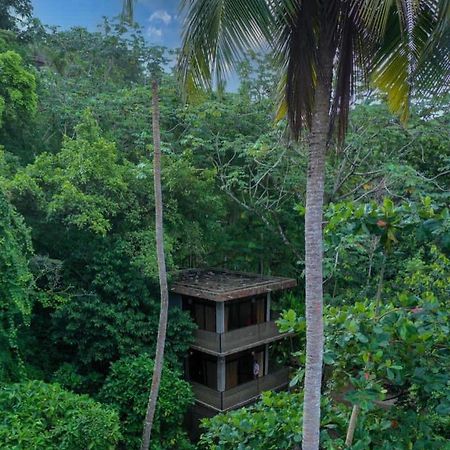 Taino Beach Lofts El Valle Exteriér fotografie