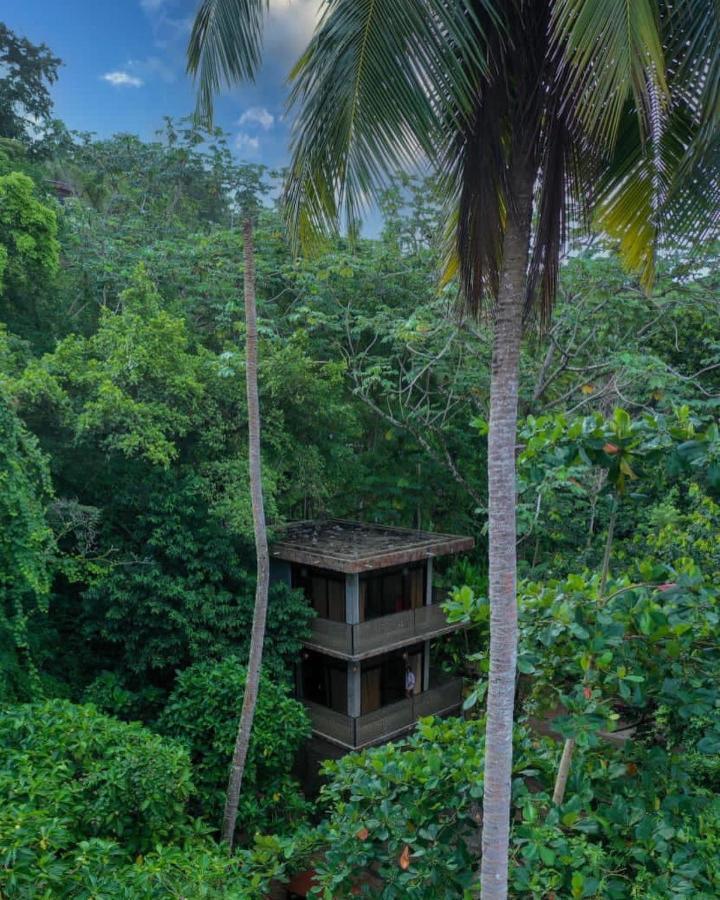 Taino Beach Lofts El Valle Exteriér fotografie